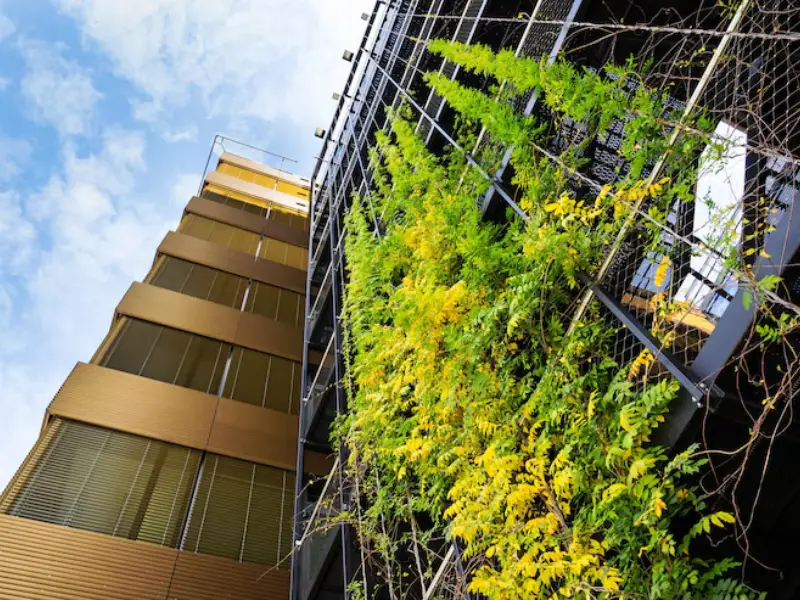 Construção sustentável avança no Brasil